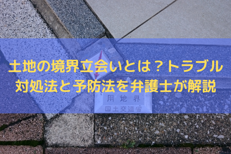 土地の境界線の立ち合い